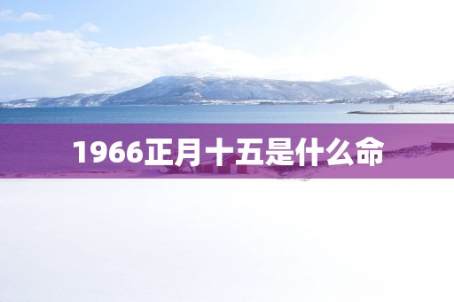 1966正月十五是什么命