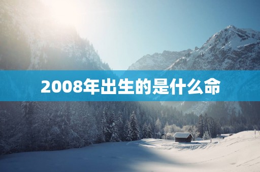 2008年出生的是什么命