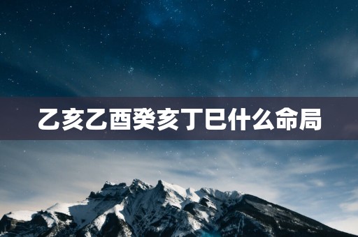 乙亥乙酉癸亥丁巳什么命局