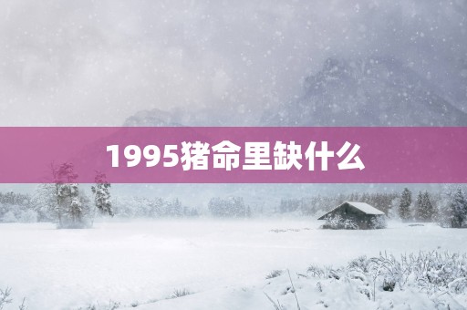 1995猪命里缺什么
