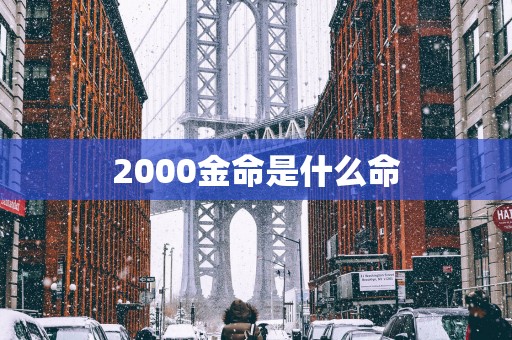 2000金命是什么命