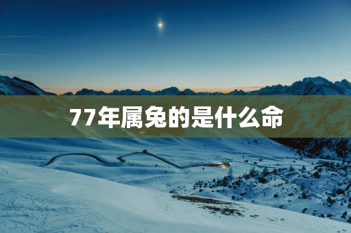 77年属兔的是什么命