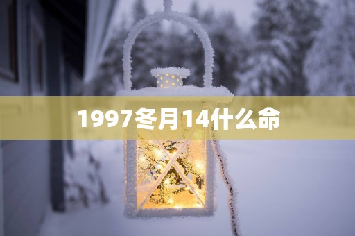 1997冬月14什么命
