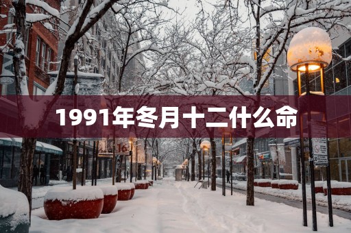 1991年冬月十二什么命