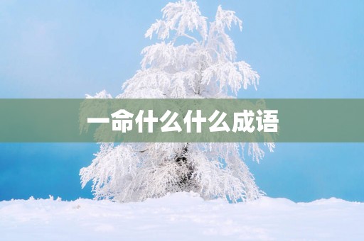 一命什么什么成语