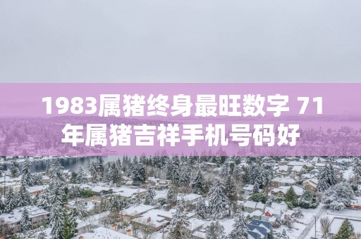 1983属猪终身最旺数字 71年属猪吉祥手机号码好