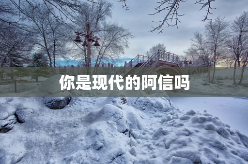 你是现代的阿信吗