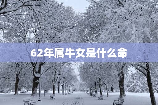 62年属牛女是什么命