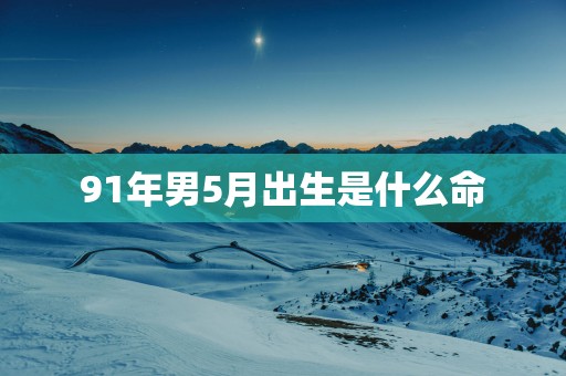 91年男5月出生是什么命