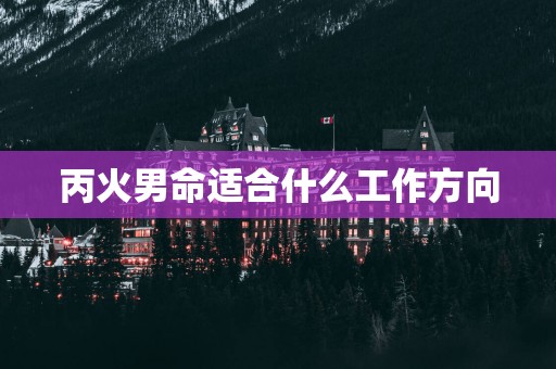 丙火男命适合什么工作方向
