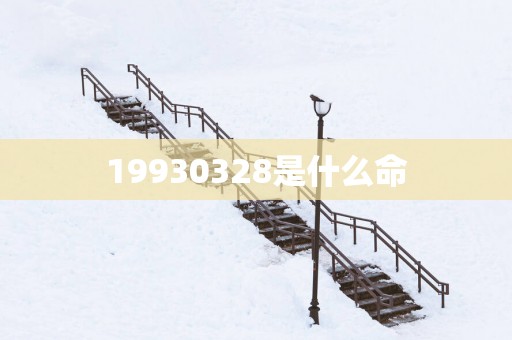 19930328是什么命