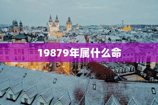 19879年属什么命