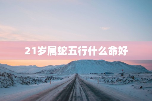 21岁属蛇五行什么命好