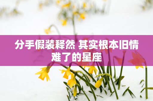 分手假装释然 其实根本旧情难了的星座