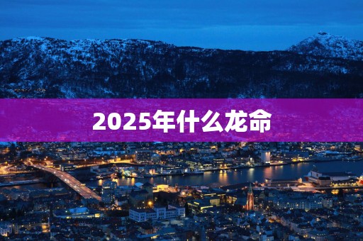 2025年什么龙命