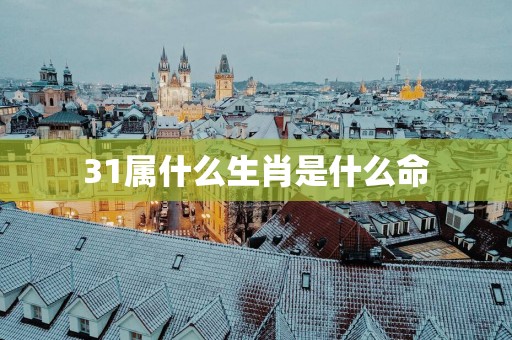 31属什么生肖是什么命