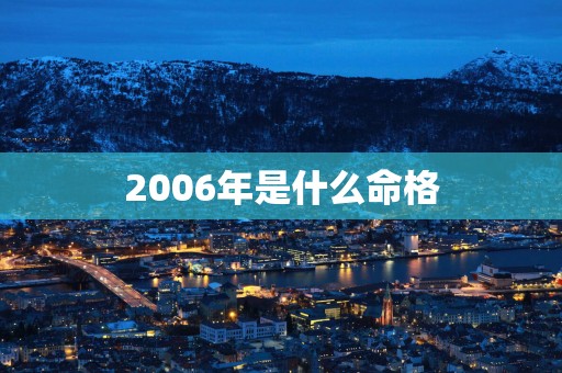 2006年是什么命格