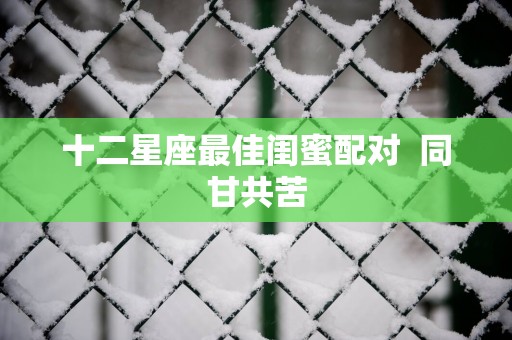 十二星座最佳闺蜜配对  同甘共苦