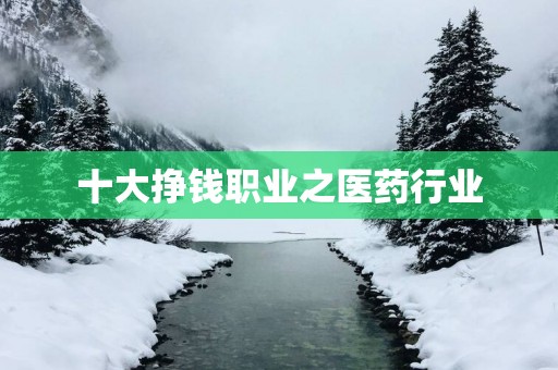 十大挣钱职业之医药行业