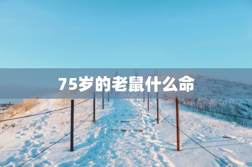 75岁的老鼠什么命