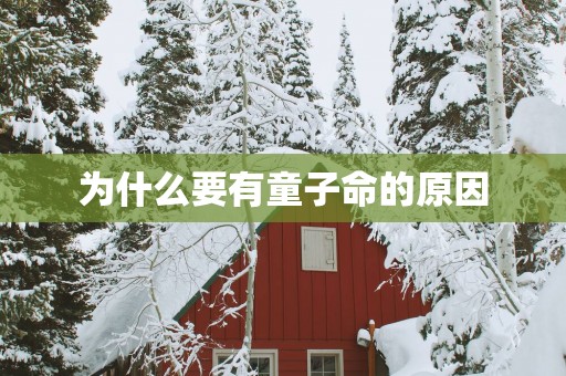 为什么要有童子命的原因