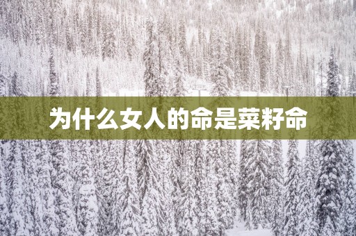 为什么女人的命是菜籽命