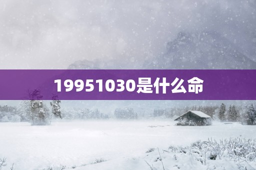 19951030是什么命
