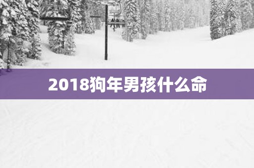 2018狗年男孩什么命