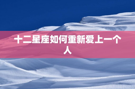 十二星座如何重新爱上一个人