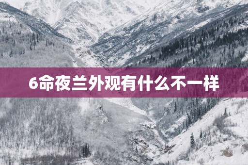 6命夜兰外观有什么不一样