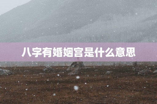 八字有婚姻宫是什么意思