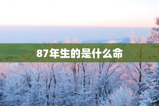 87年生的是什么命
