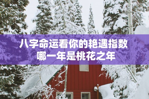 八字命运看你的艳遇指数  哪一年是桃花之年