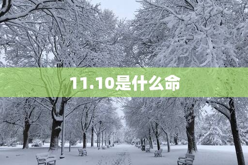 11.10是什么命
