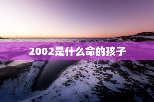 2002是什么命的孩子