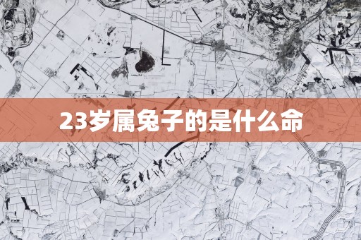 23岁属兔子的是什么命 23岁属兔子的是什么命