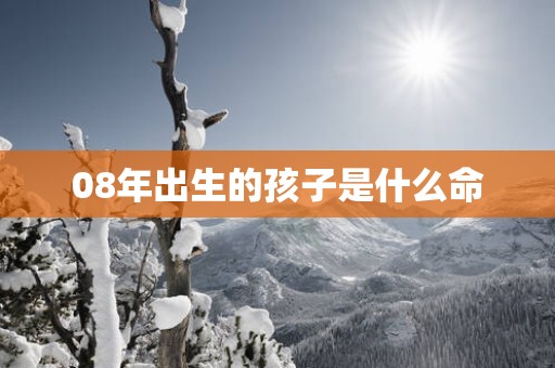 08年出生的孩子是什么命