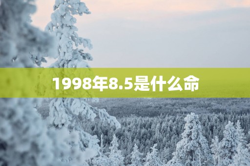 1998年8.5是什么命