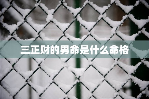 三正财的男命是什么命格