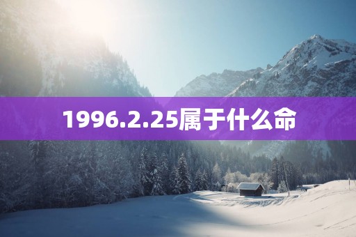 1996.2.25属于什么命
