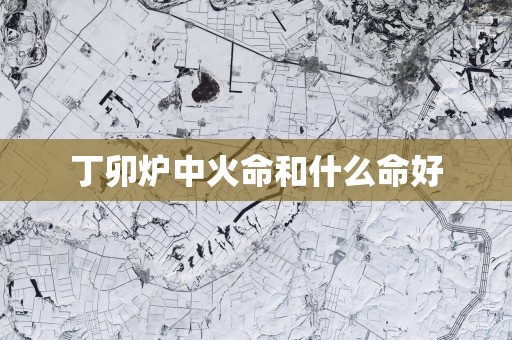 丁卯炉中火命和什么命好