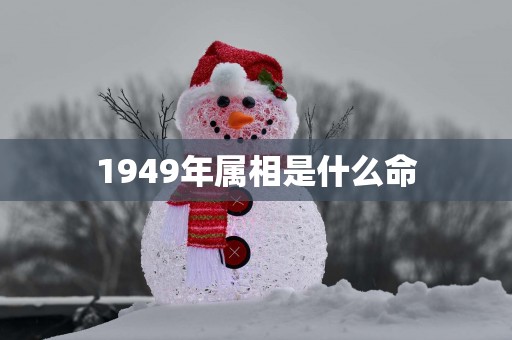 1949年属相是什么命