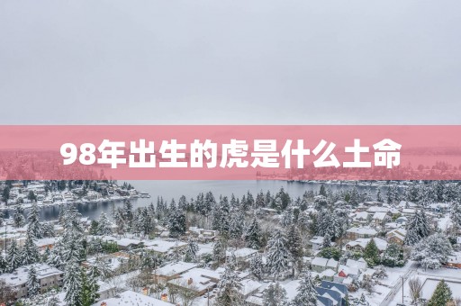 98年出生的虎是什么土命
