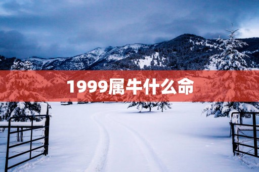 1999属牛什么命