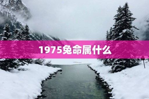 1975兔命属什么