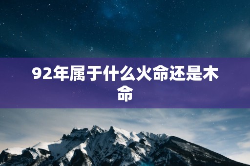 92年属于什么火命还是木命