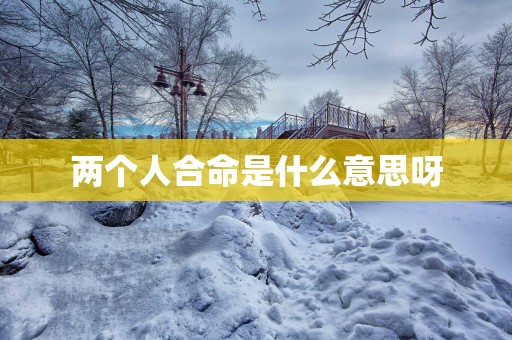 两个人合命是什么意思呀