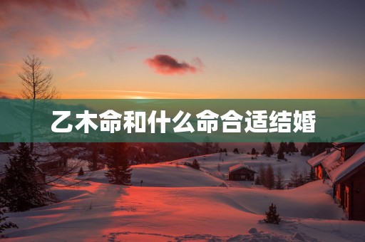 乙木命和什么命合适结婚