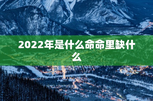 2025年是什么命命里缺什么
