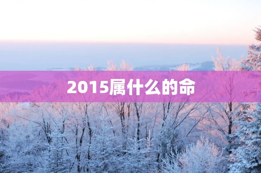 2015属什么的命